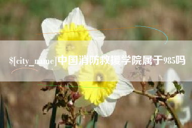 孝昌中国消防救援学院属于985吗