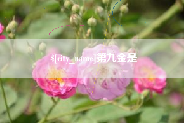 孝昌第九金是