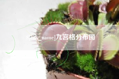 孝昌九宫格分布图