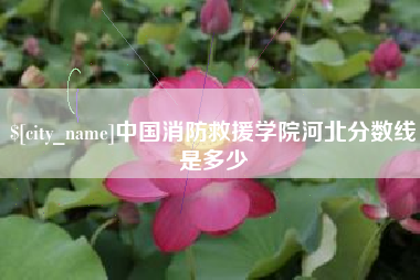 孝昌中国消防救援学院河北分数线是多少