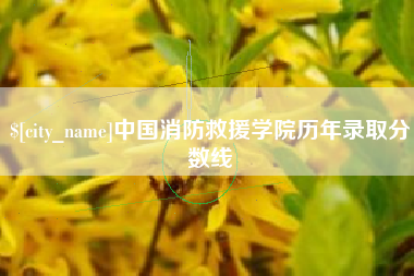 孝昌中国消防救援学院历年录取分数线