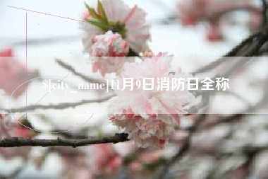 孝昌11月9日消防日全称