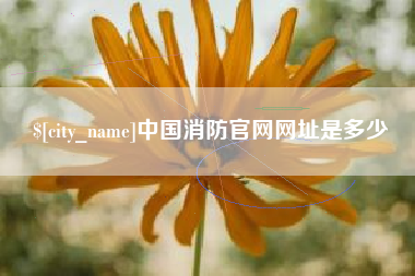 孝昌中国消防官网网址是多少