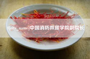 孝昌中国消防救援学院副院长