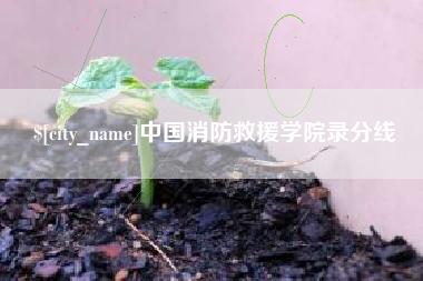 孝昌中国消防救援学院录分线