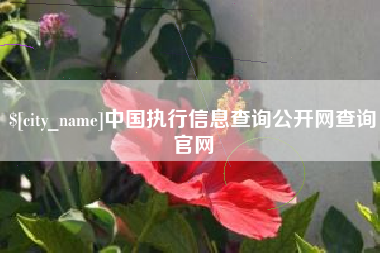 孝昌中国执行信息查询公开网查询官网