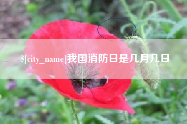 孝昌我国消防日是几月几日