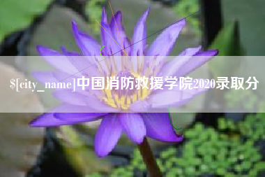 孝昌中国消防救援学院2020录取分