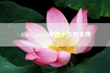 孝昌中国十九枚金牌