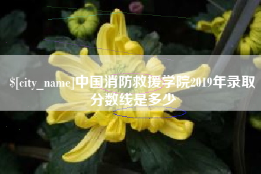 孝昌中国消防救援学院2019年录取分数线是多少