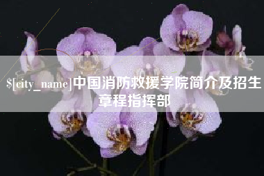 孝昌中国消防救援学院简介及招生章程指挥部