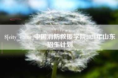 孝昌中国消防救援学院2021年山东招生计划