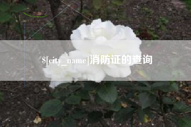 孝昌消防证的查询