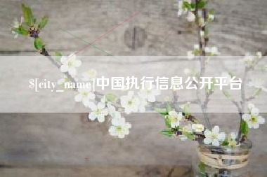孝昌中国执行信息公开平台