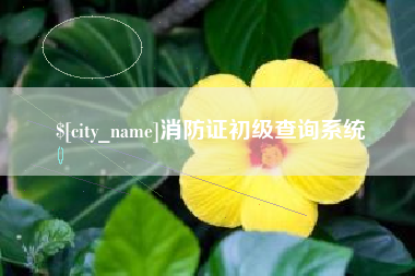 孝昌消防证初级查询系统