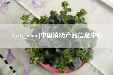 孝昌中国消防产品信息中心