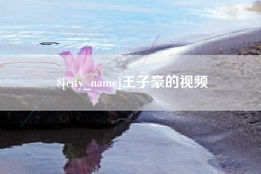 孝昌王子豪的视频