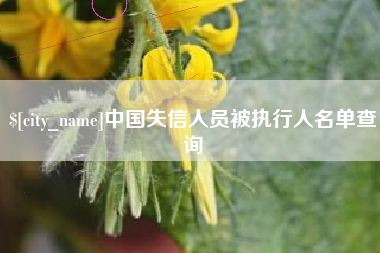 孝昌中国失信人员被执行人名单查询