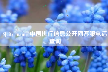 孝昌中国执行信息公开网客服电话查询