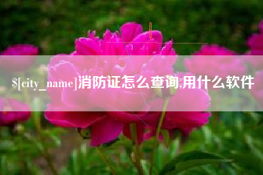 孝昌消防证怎么查询,用什么软件
