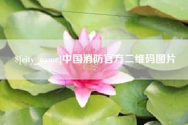 孝昌中国消防官方二维码图片