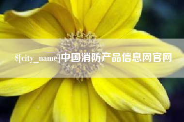 孝昌中国消防产品信息网官网
