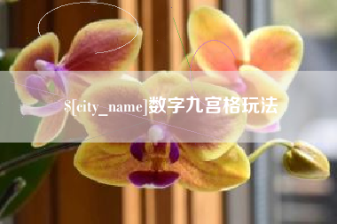 孝昌数字九宫格玩法