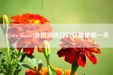 孝昌全国消防日的日期是哪一天