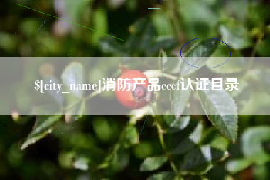 孝昌消防产品cccf认证目录