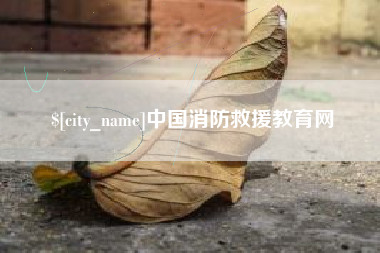 孝昌中国消防救援教育网