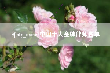 孝昌中国十大金牌律师名单