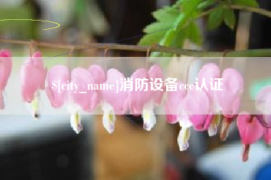 孝昌消防设备ccc认证