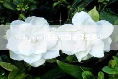 孝昌现在中国金牌是多少