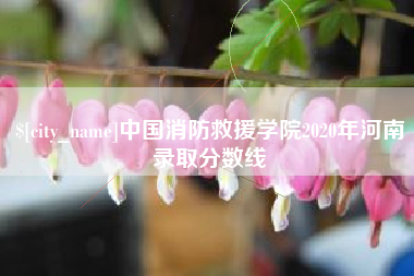 孝昌中国消防救援学院2020年河南录取分数线