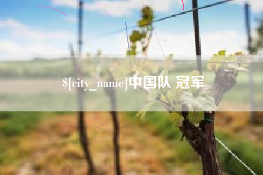 孝昌中国队 冠军