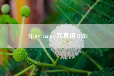 孝昌九宫格42633