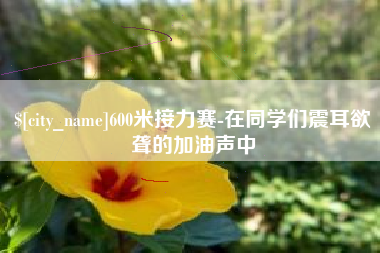 孝昌600米接力赛-在同学们震耳欲聋的加油声中