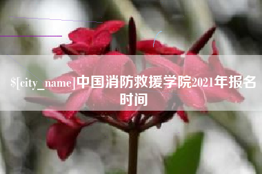 孝昌中国消防救援学院2021年报名时间