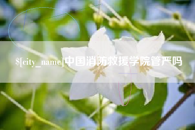 孝昌中国消防救援学院管严吗