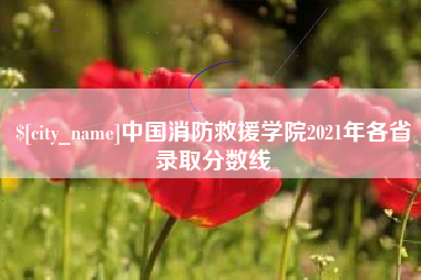 孝昌中国消防救援学院2021年各省录取分数线