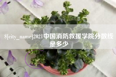 孝昌2021中国消防救援学院分数线是多少