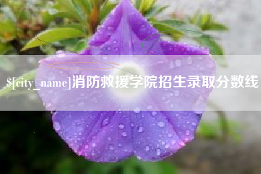 孝昌消防救援学院招生录取分数线