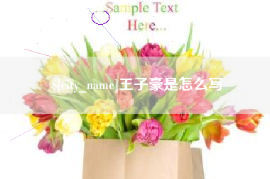 孝昌王子豪是怎么写