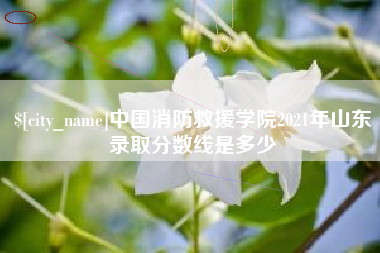 孝昌中国消防救援学院2021年山东录取分数线是多少