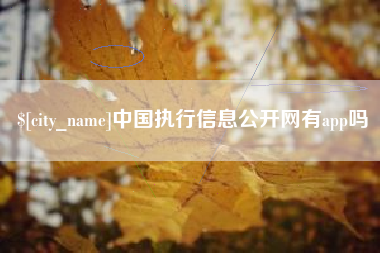 孝昌中国执行信息公开网有app吗