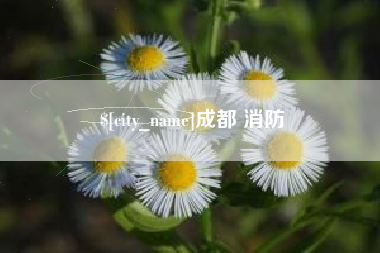 孝昌成都 消防