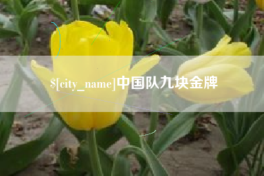 孝昌中国队九块金牌