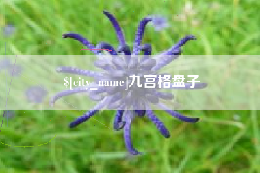 孝昌九宫格盘子