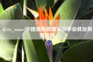 孝昌中国消防救援学院毕业就业前景如何