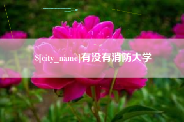 孝昌有没有消防大学
